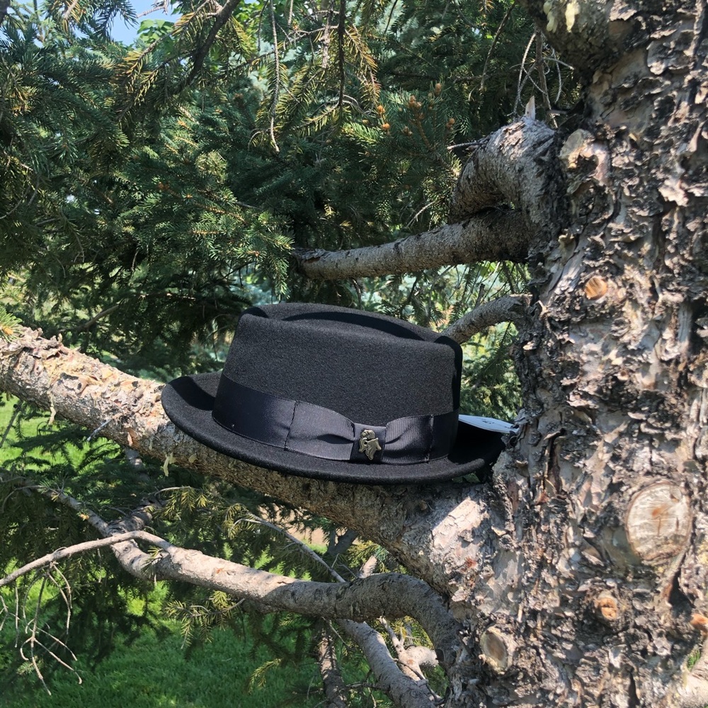 Bigalli Cooker Fedora Hat in Black